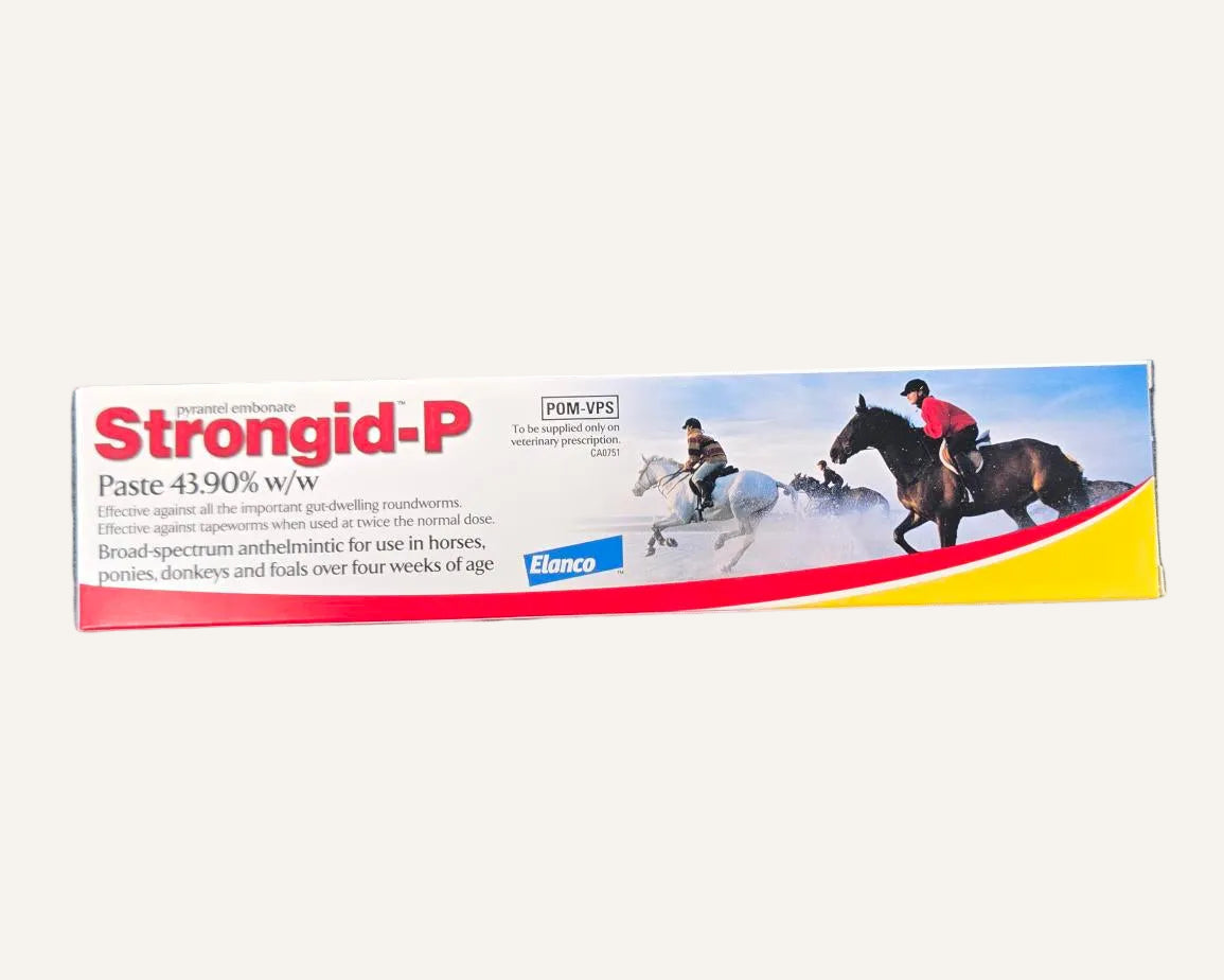 Elanco Strongid-P Paste | Pyrantel Horse Wormer for Horses & Ponies