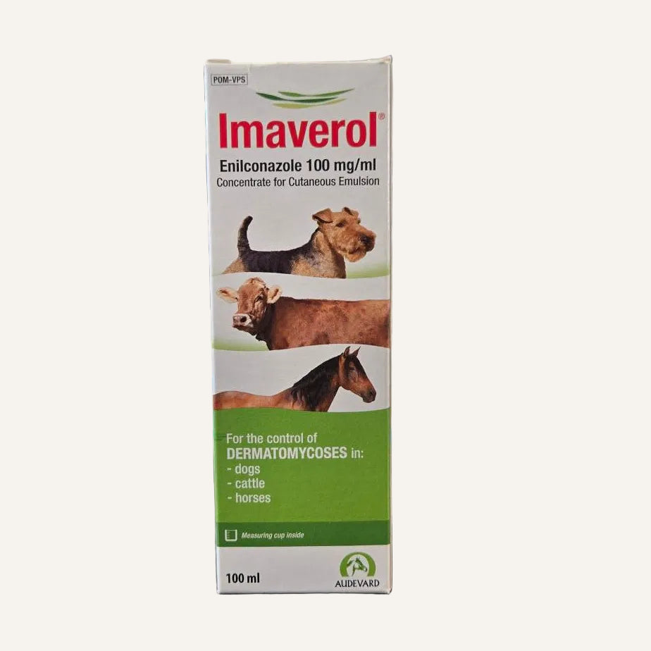 Imaverol 100ml | Antifungal Treatment for Ringworm in Cattle, Horses & Dogs