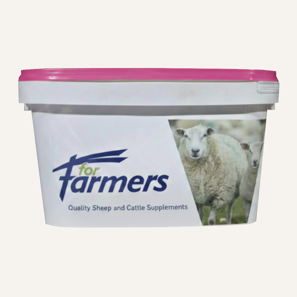 ForFarmers Summer Garlic Lick Bucket 20kg Pink | Cattle & Sheep Mineral Supplement