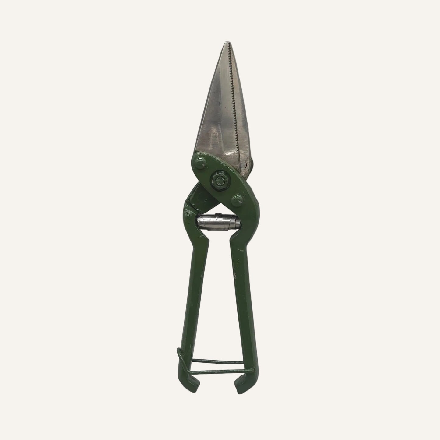 26cm Serrated Claw Shears Green | Livestock Hoof & Claw Trimming Shears