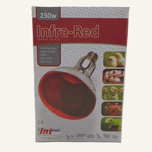 Infra Red Ruby Heat Lamp Bulb 250W | Livestock & Poultry Heat Bulb