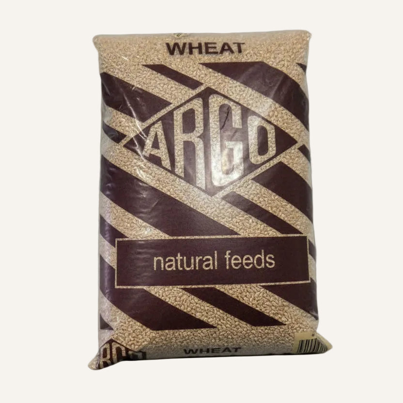 Whole Wheat 20kg | Natural Grain Feed for Poultry & Livestock