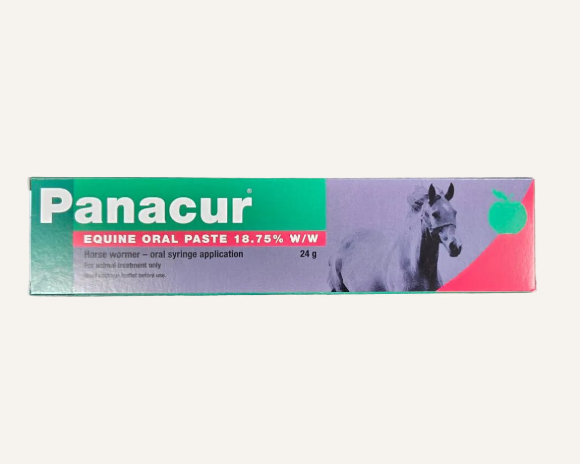 Panacur Equine Paste | Fenbendazole Horse Wormer for Horses & Ponies
