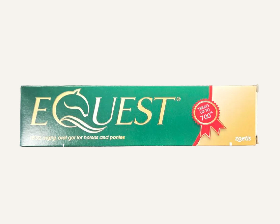 Equest Oral Gel | Moxidectin Horse Wormer for Horses & Ponies