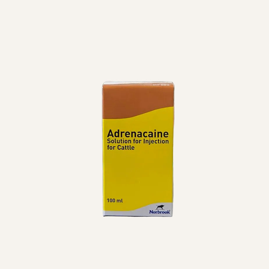 Adrenacaine Local Anaesthetic 100ml | Local Anaesthetic Solution for Veterinary Use