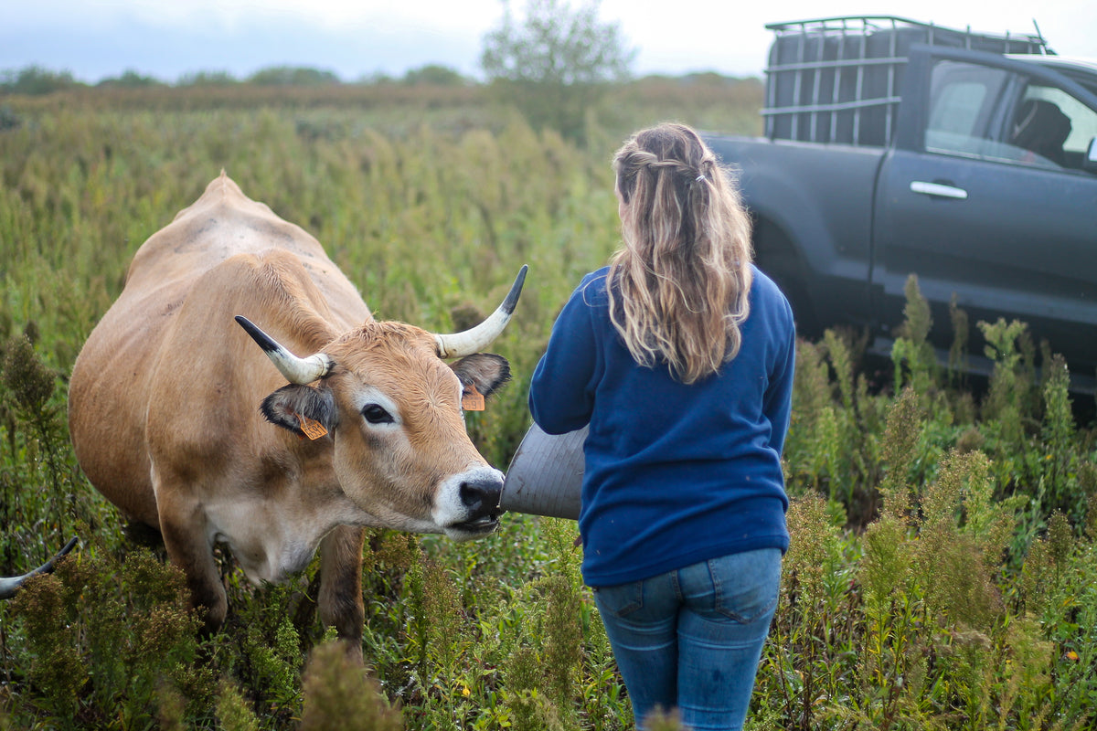 Longhorn Shearing Highland Fleece Navy | Country Fleece Jacket
