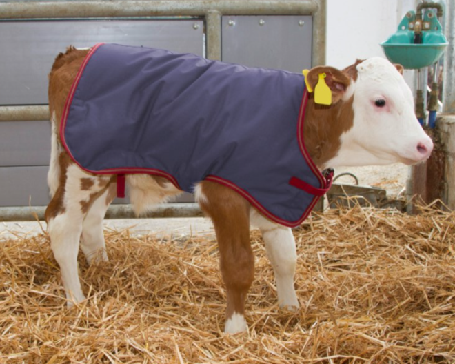 Kerbl 14149 Calf Jacket ThermoPlus 80cm | Thermal Calf Coat