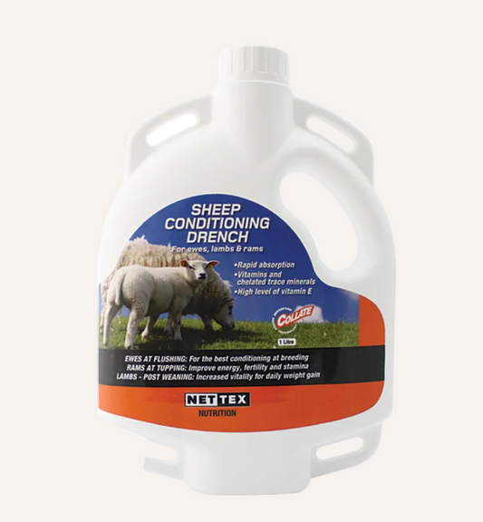 Nettex Agri Sheep Conditioning Drench 1L | Ewe & Lamb Nutritional Support