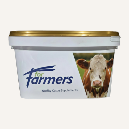 ForFarmers Cattle Lick Bucket 20kg Gold | Cattle Mineral & Energy Supplement